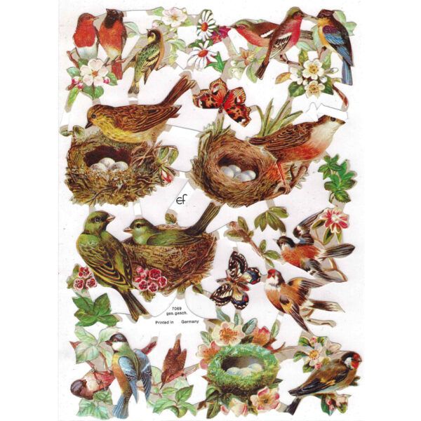 7069 Pack 4 láminas cromos de picar. Pájaros