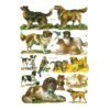 7163 Pack 4 láminas cromos de picar. Perros