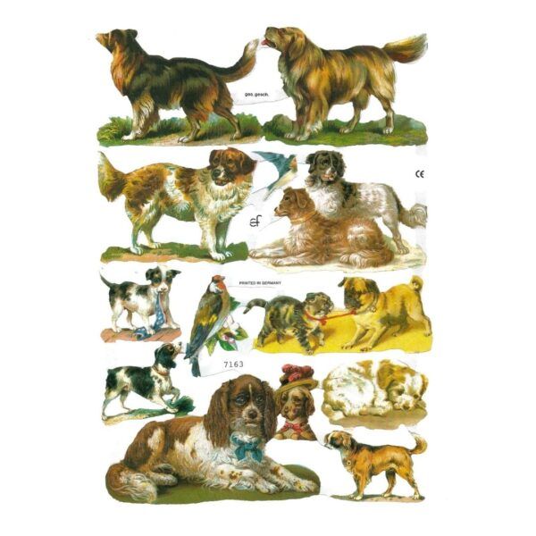 7163 Pack 4 láminas cromos de picar. Perros