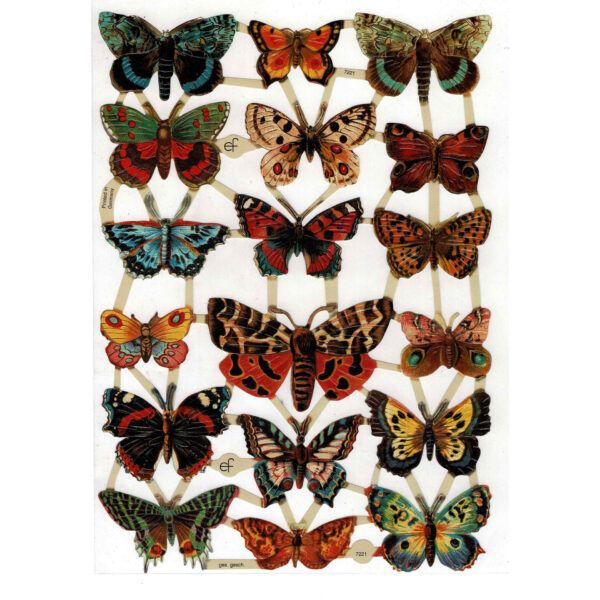 Pack 4 láminas cromos de picar. Mariposas