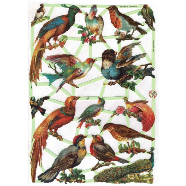 7246 Pack 4 láminas cromos de picar. Pájaros