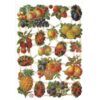 xr:d:DAFe2nL34P4:2,j:1953777295,t:23040110 Pack 4 láminas cromos de picar. Frutas y verduras