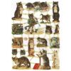 Pack 4 láminas cromos de picar. Gatos