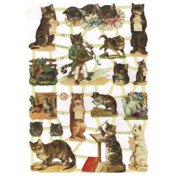 Pack 4 láminas cromos de picar. Gatos