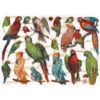 7303 Pack 4 láminas cromos de picar. Pájaros