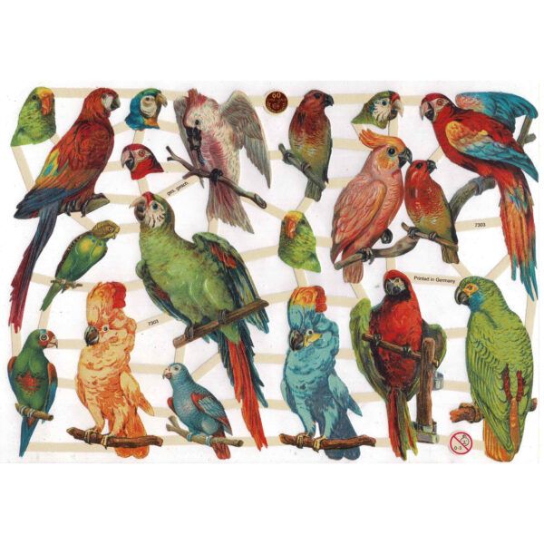 7303 Pack 4 láminas cromos de picar. Pájaros