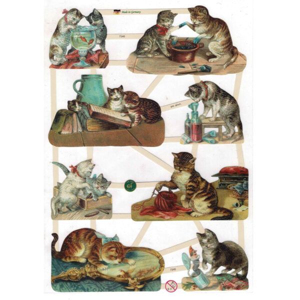 Pack 4 láminas cromos de picar. Gatos