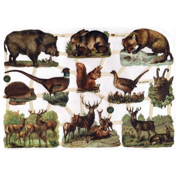 7376 Pack 4 láminas cromos de picar. Animales