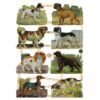 7397 Pack 4 láminas cromos de picar. Perros