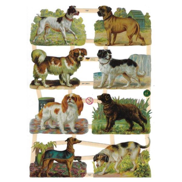 7397 Pack 4 láminas cromos de picar. Perros