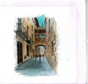 BRWF8DA0C0BEC86_008775 - Còpia Carrer del Bisbe