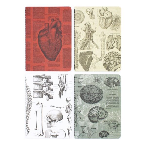 Set 4 Cuadernos De Bolsillo A6 Corazon