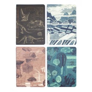 682384955857.jpg Set 4 Cuadernos De Bolsillo A6 Fosiles