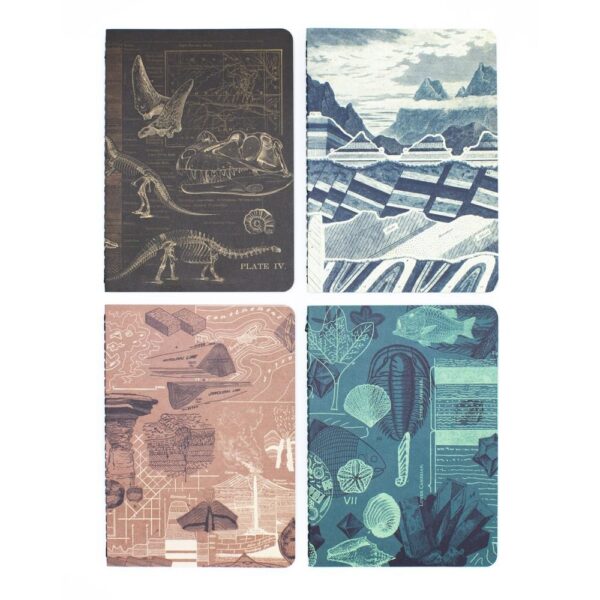 Set 4 Cuadernos De Bolsillo A6 Fosiles