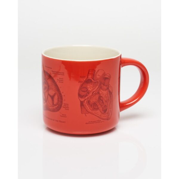 691959143025.jpg Taza Ceramica Anatomia Corazon 430ml