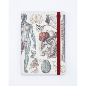742042885411.jpg Notebook Tapa Blanda A5 Anatomia