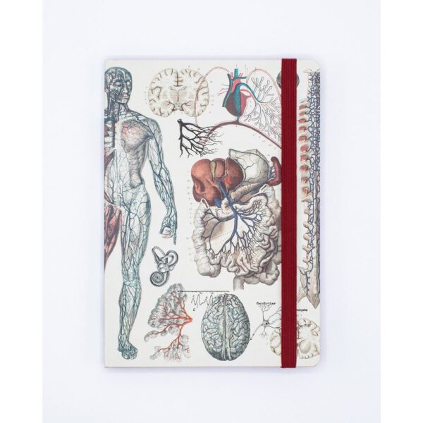 Notebook Tapa Blanda A5 Anatomia