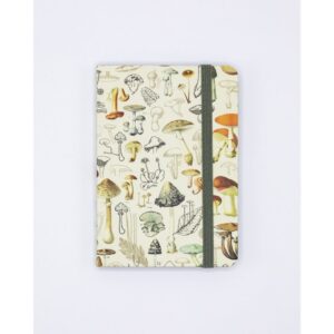 742042885558.jpg Notebook A7 Setas
