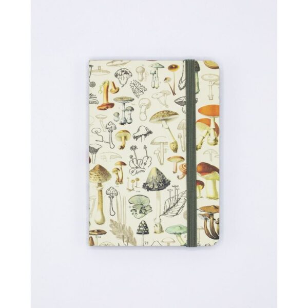 Notebook A7 Setas