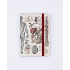 742042885602.jpg Notebook A7 Anatomia