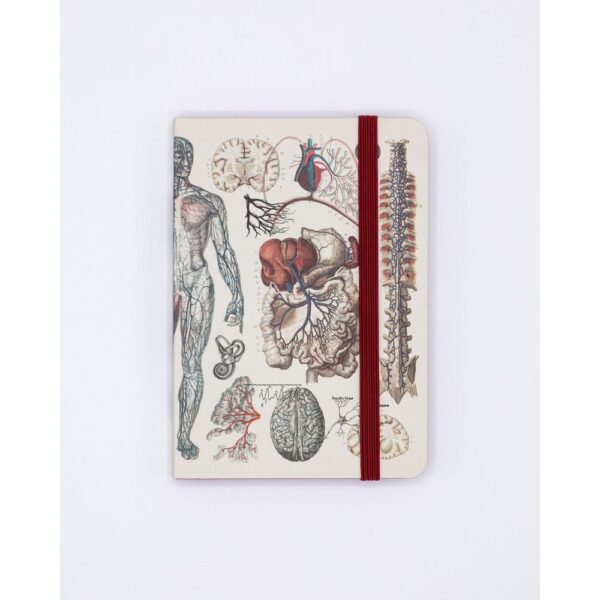 Notebook A7 Anatomia