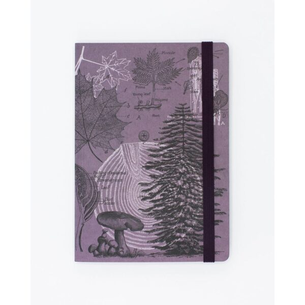 Notebook A5 Tapa Blanda Bosque Y Setas