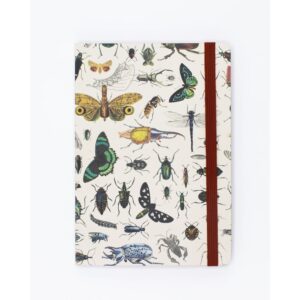 742042887996.jpg Notebook A5 Tapa Blanda Mariposas