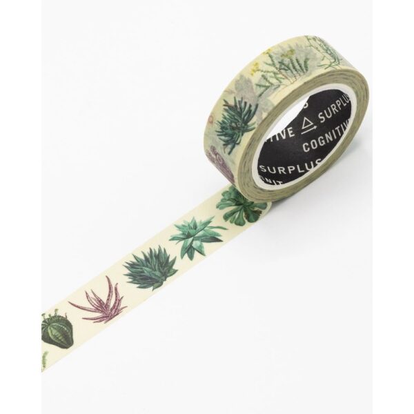 742042888344.jpg Cinta Washi Cactus